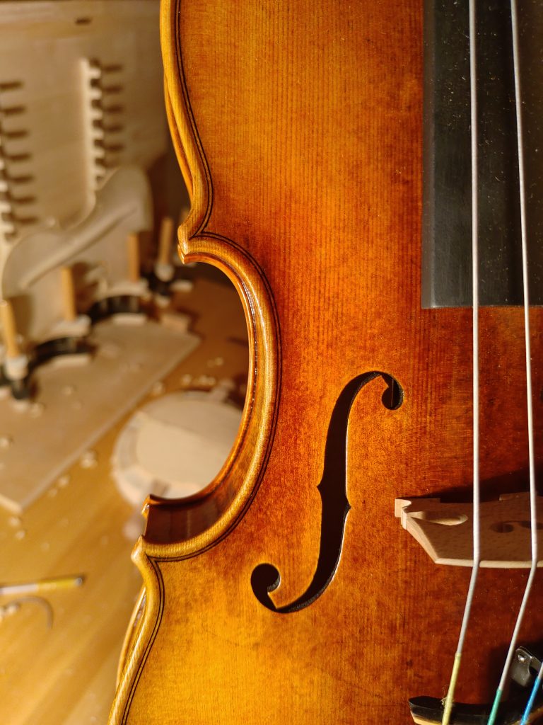 小提琴、中提琴、大提琴和低音有什么不同？