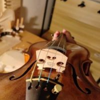 初学者小提琴价格多少钱？应该买多少钱适合？