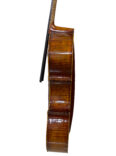 cello-2 (3)