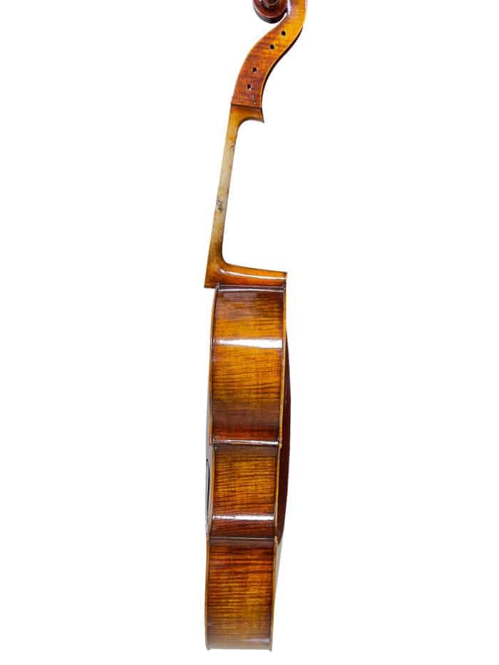 violonchelo-6 cello-6