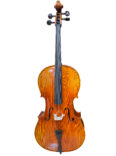 cello-7 (3)
