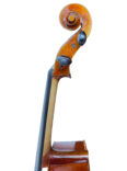cello-7 (4)